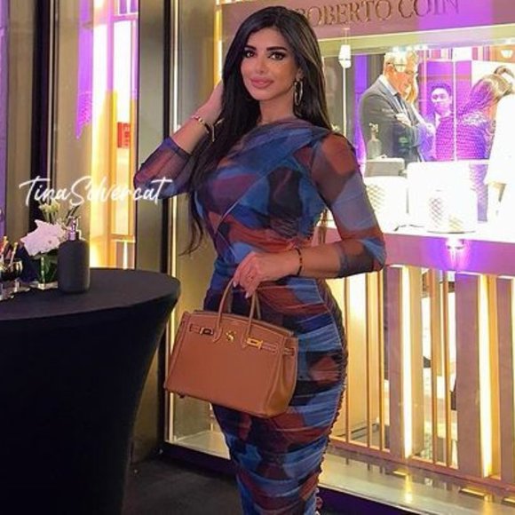 BLOGGER'S FAVE! Zara 2 Pc Printed Tulle Skirt And Top NWT - Picture 12 of 17